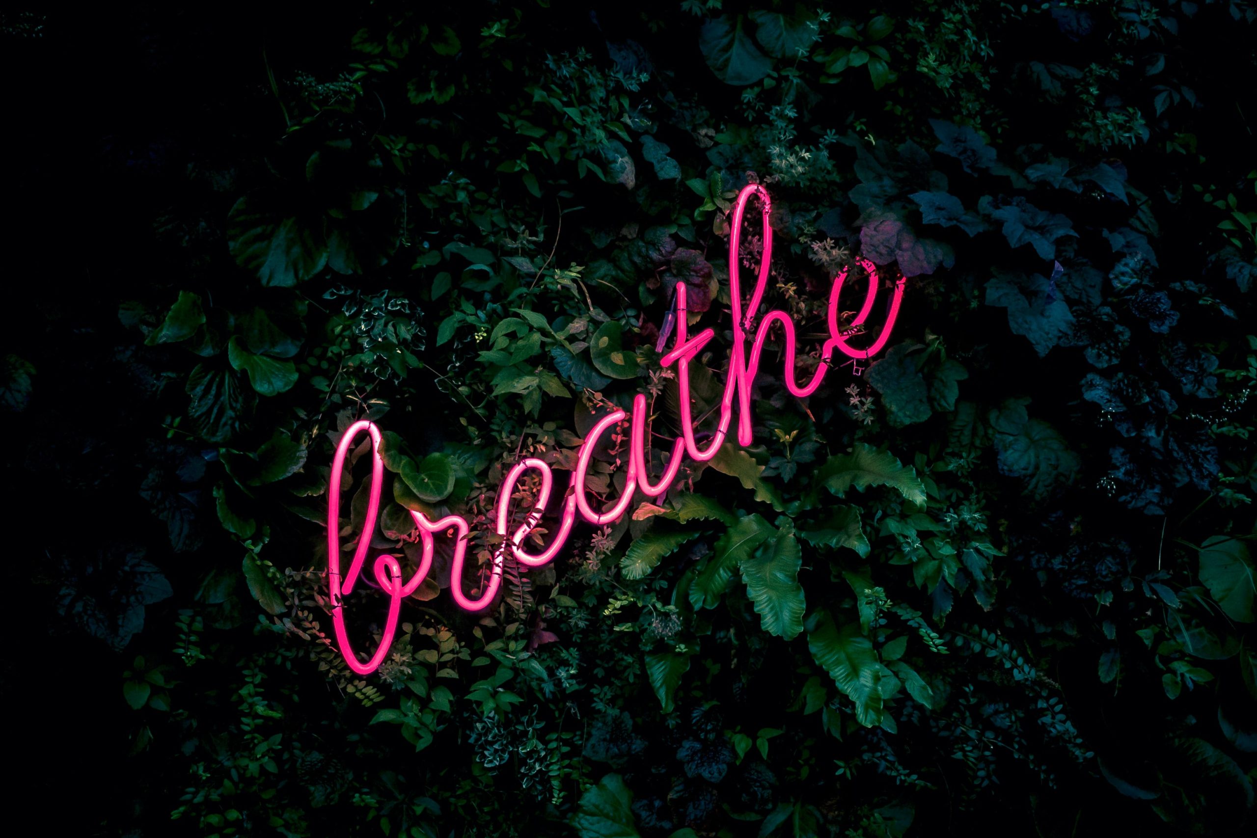 Breathe Vanessa Egert Psychologist Paris